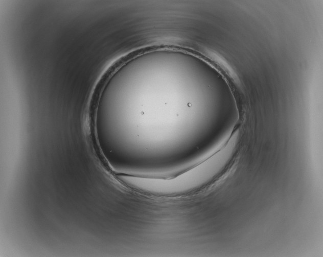 X0000112390924200908131546