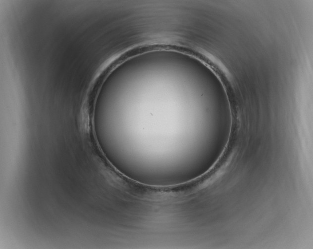 X0000112390925200908131546