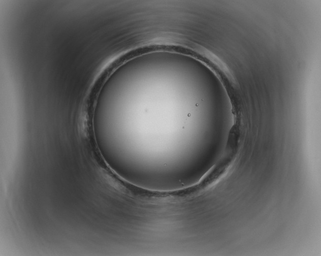 X0000112390926200908131546