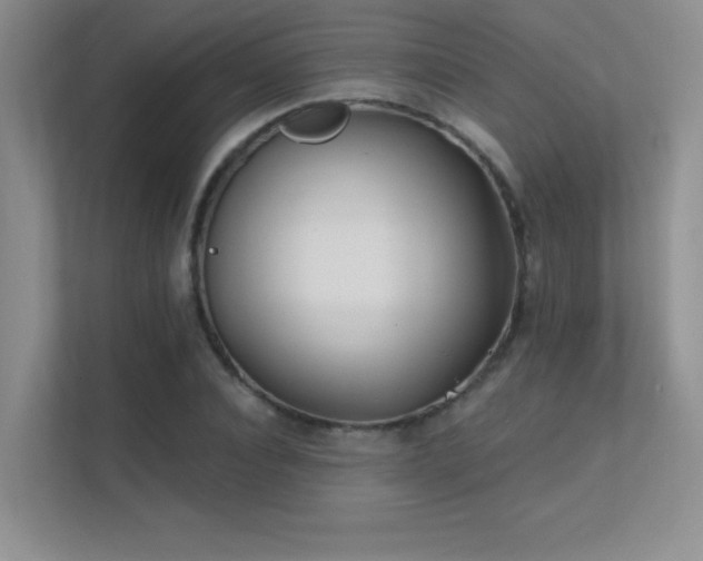 X0000112390928200908131546