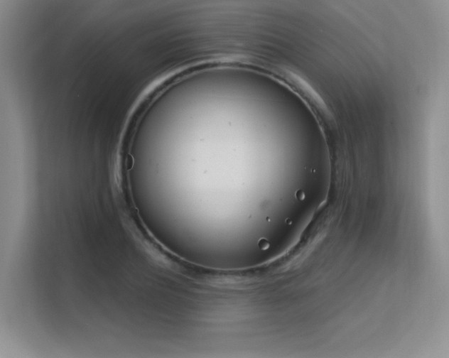 X0000112390932200908131546