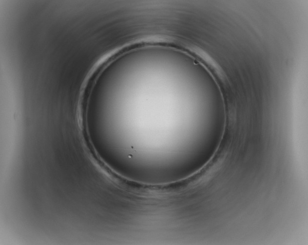 X0000112390935200908131546