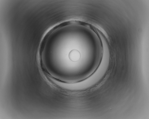 X0000112390936200908131546