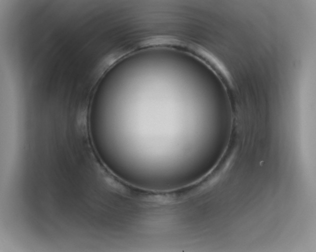 X0000112390937200908131546