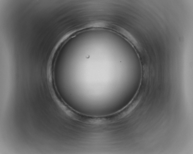 X0000112390939200908131546