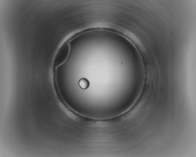 X0000112390942200908131546