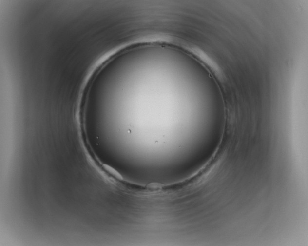 X0000112390943200908131546