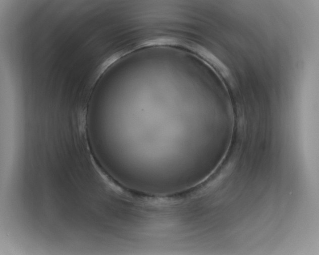 X0000112390945200908131546