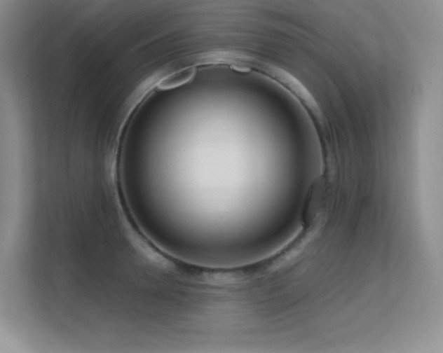 X0000112390946200908131546