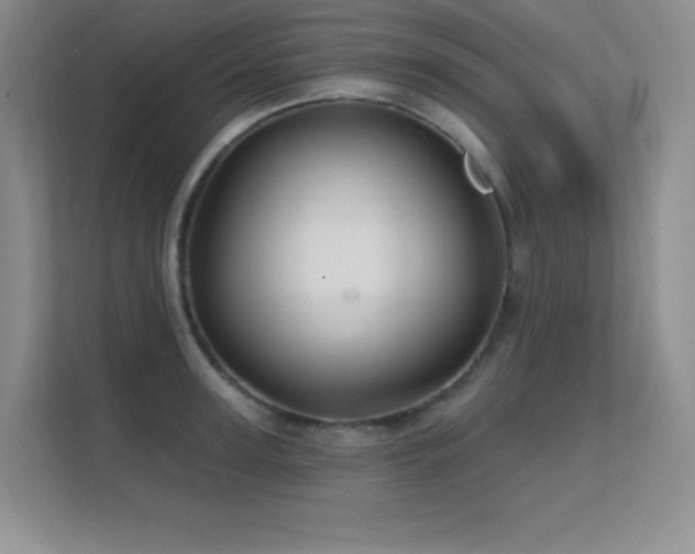 X0000112390947200908131546