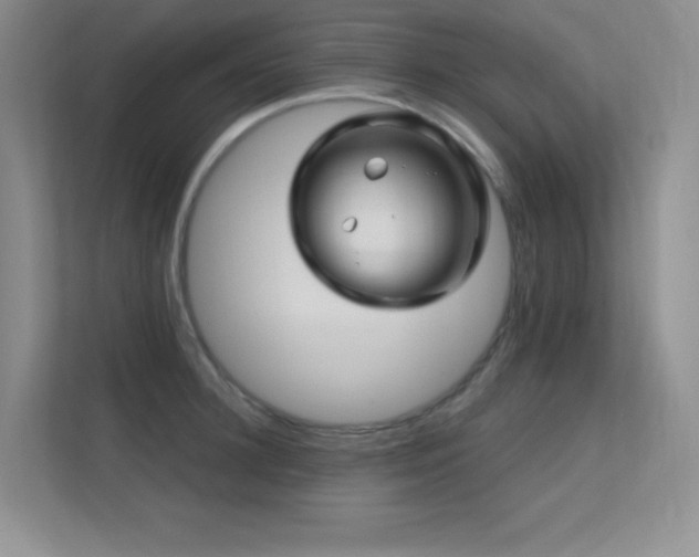 X0000112390948200908131546