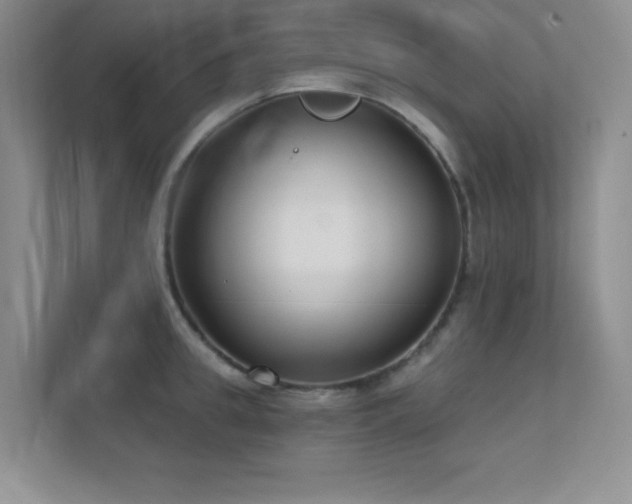 X0000112390949200908131546