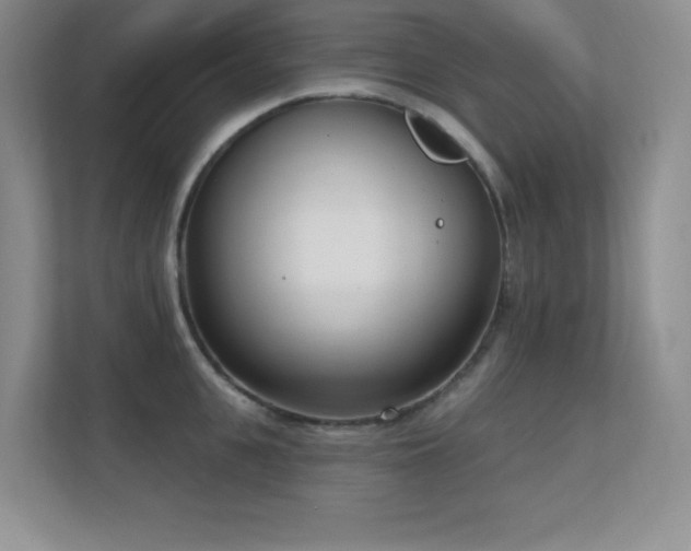 X0000112390951200908131546