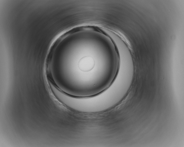 X0000112390952200908131546