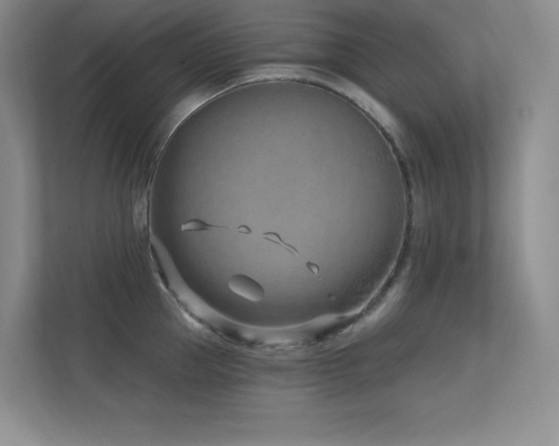 X0000112390953200908131546