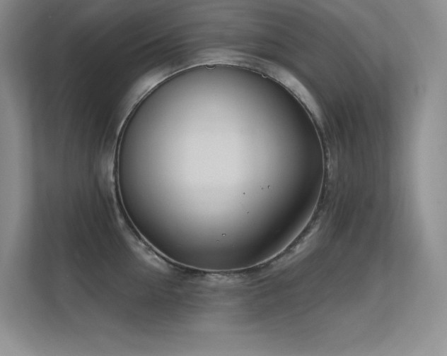 X0000112390954200908131546