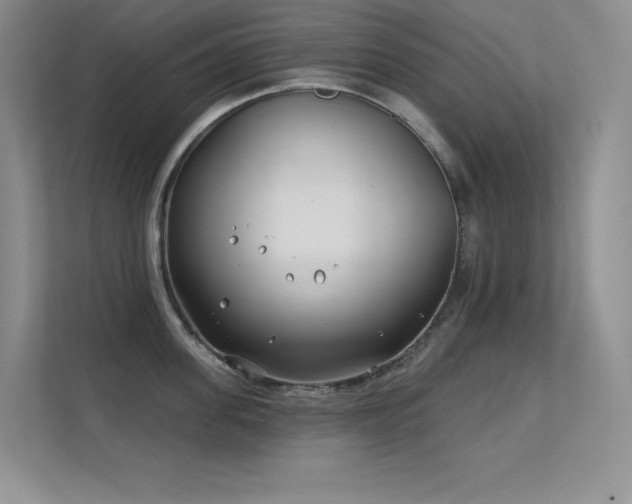 X0000112390955200908131546