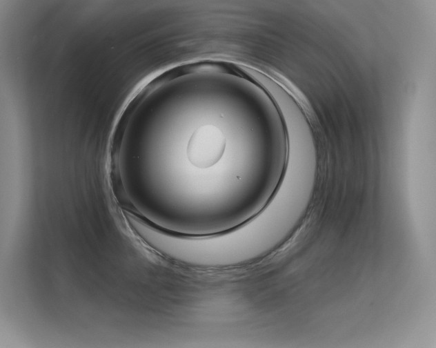 X0000112390956200908131546