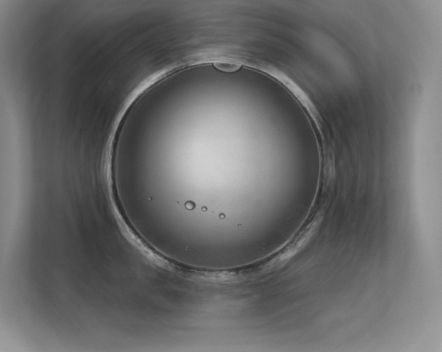 X0000112390957200908131546