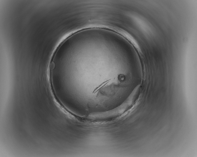 X0000112390958200908131546