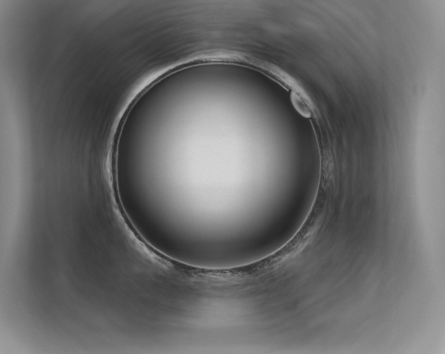 X0000112390959200908131546