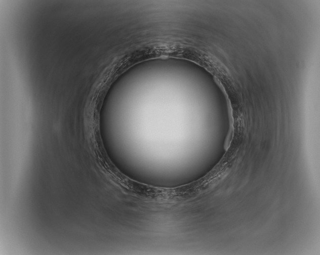 X0000112390961200908131546