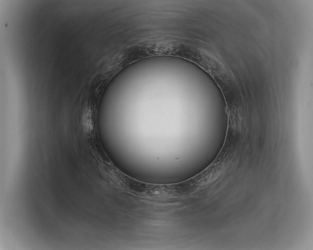 X0000112390962200908131546