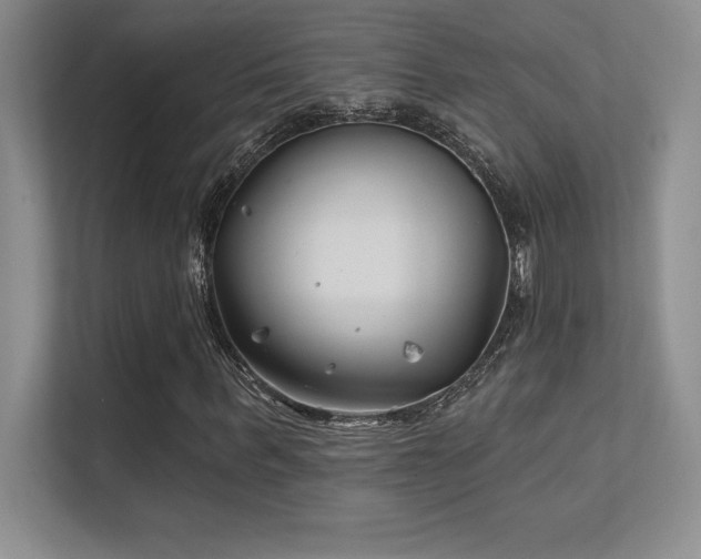 X0000112390963200908131546