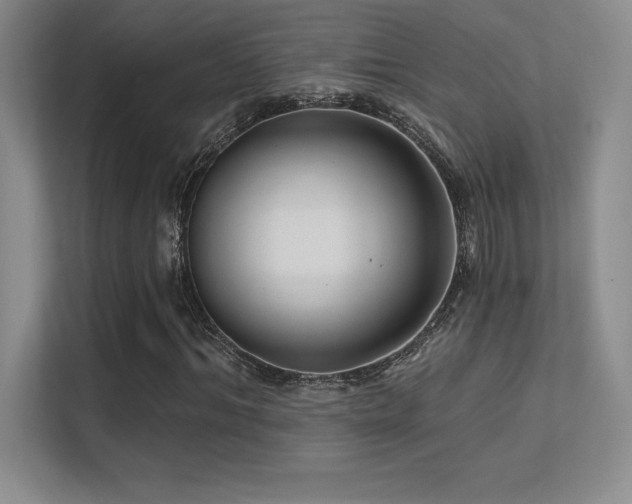 X0000112390964200908131546