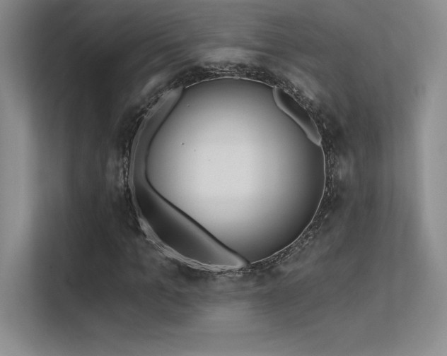 X0000112390965200908131546