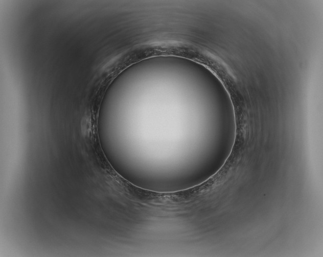 X0000112390966200908131546