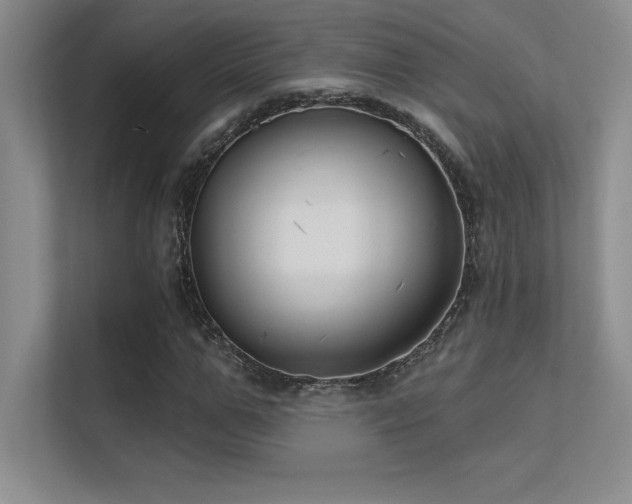 X0000112390967200908131546