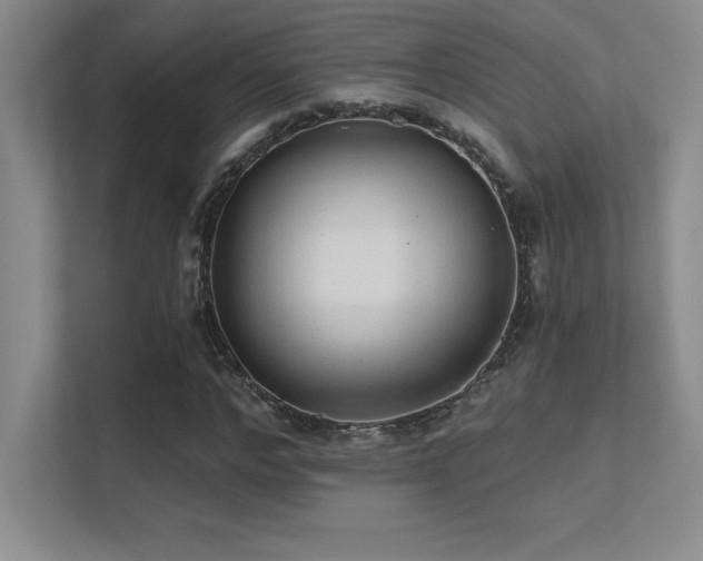 X0000112390968200908131546