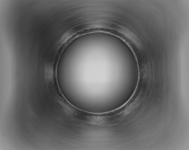 X0000112390969200908131546