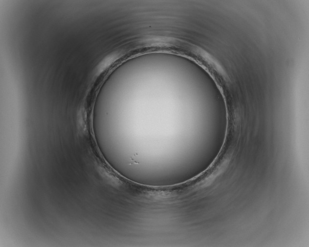 X0000112390970200908131546