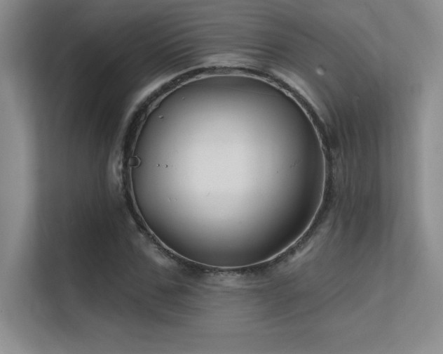 X0000112390971200908131545