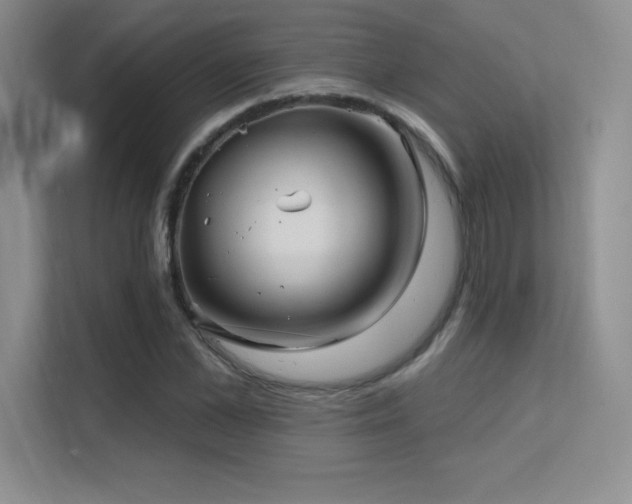 X0000112390973200908131545