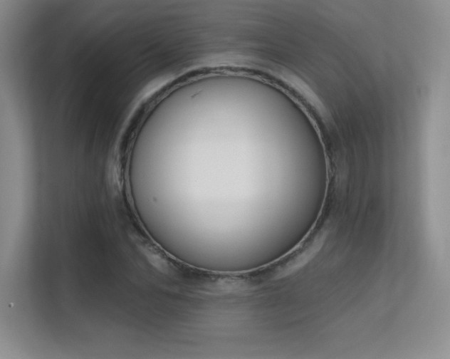 X0000112390974200908131545