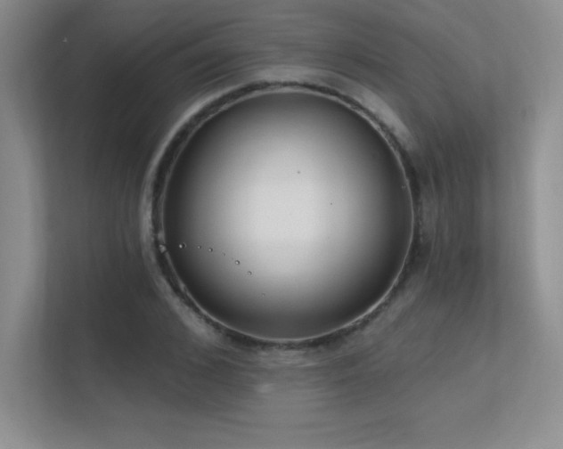 X0000112390976200908131545