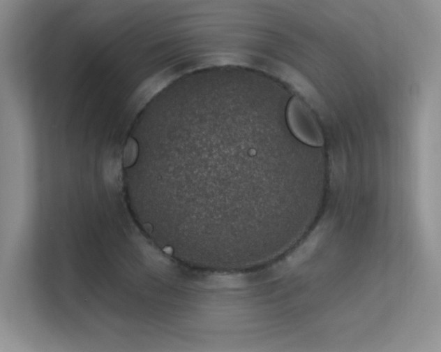 X0000112390977200908131545