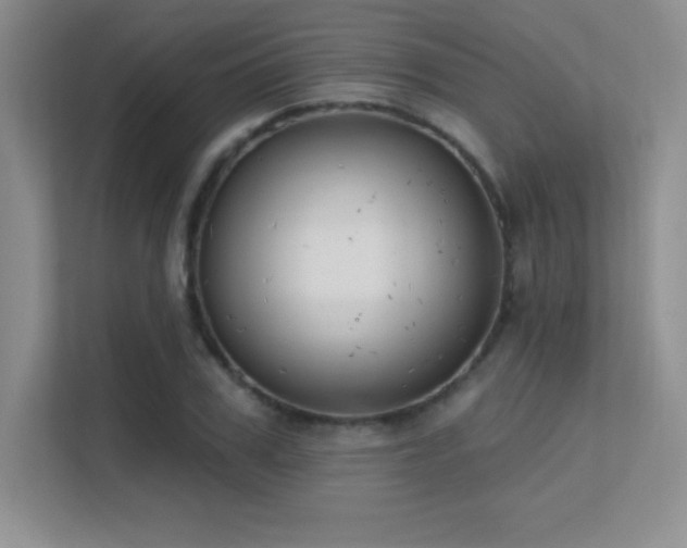 X0000112390979200908131545