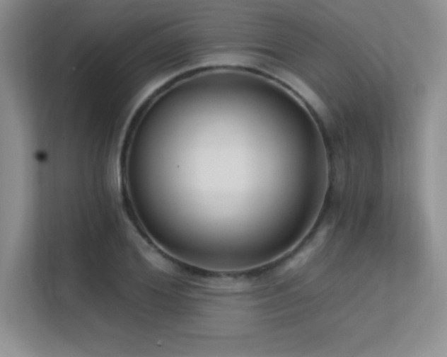 X0000112390980200908131545