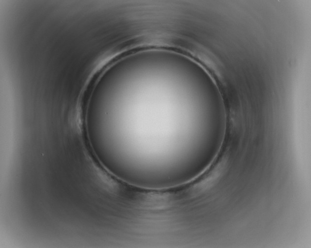 X0000112390981200908131545