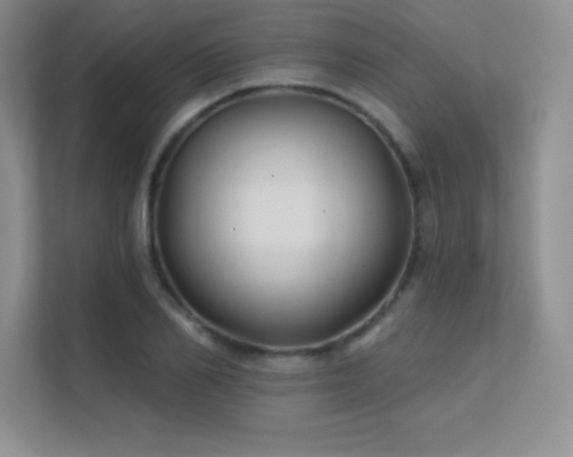 X0000112390982200908131545