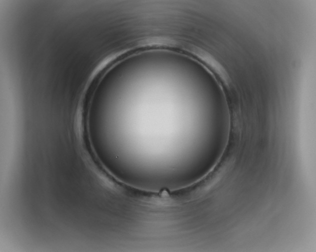 X0000112390983200908131545