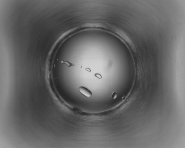 X0000112390984200908131545