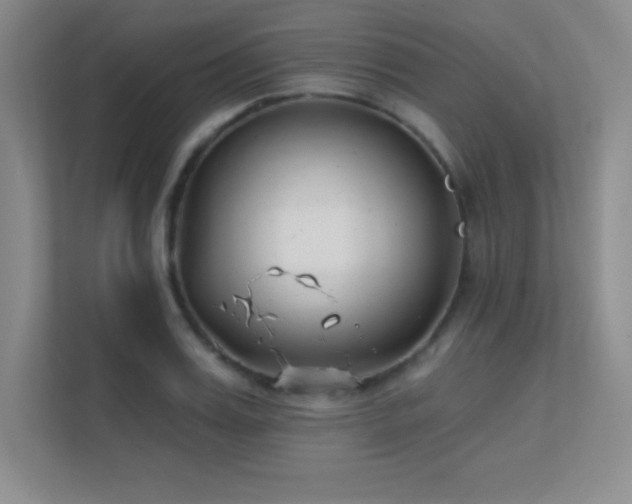 X0000112390987200908131545