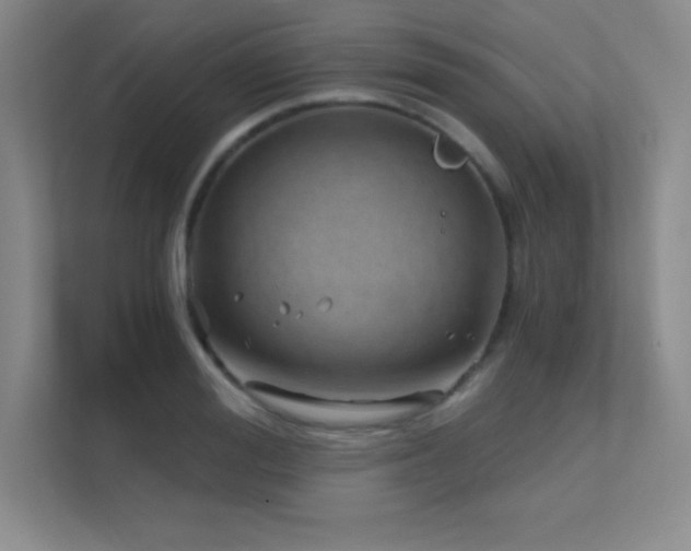 X0000112390988200908131545