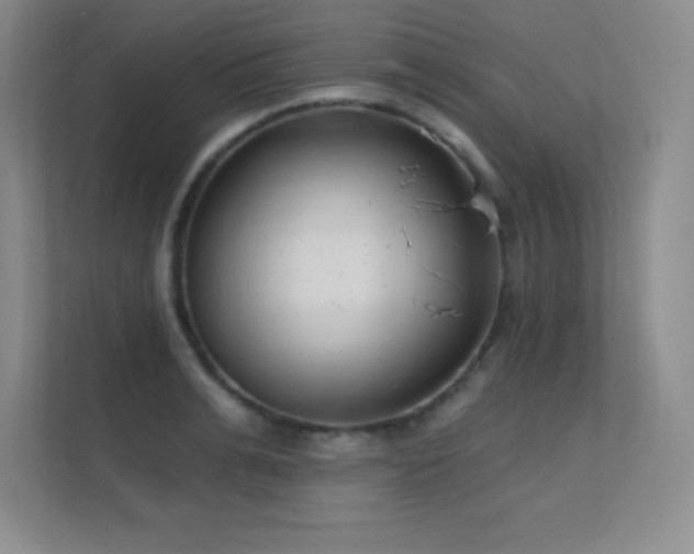 X0000112390991200908131545