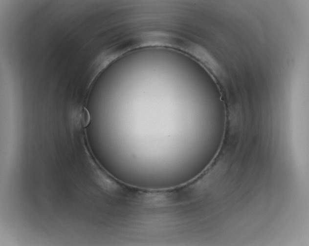 X0000112390993200908131545